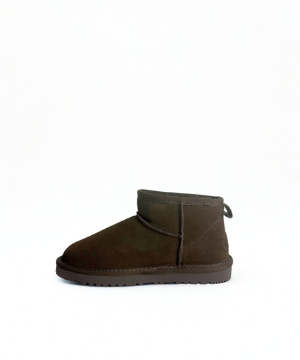 Polacco marrone