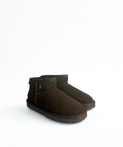 Polacco marrone